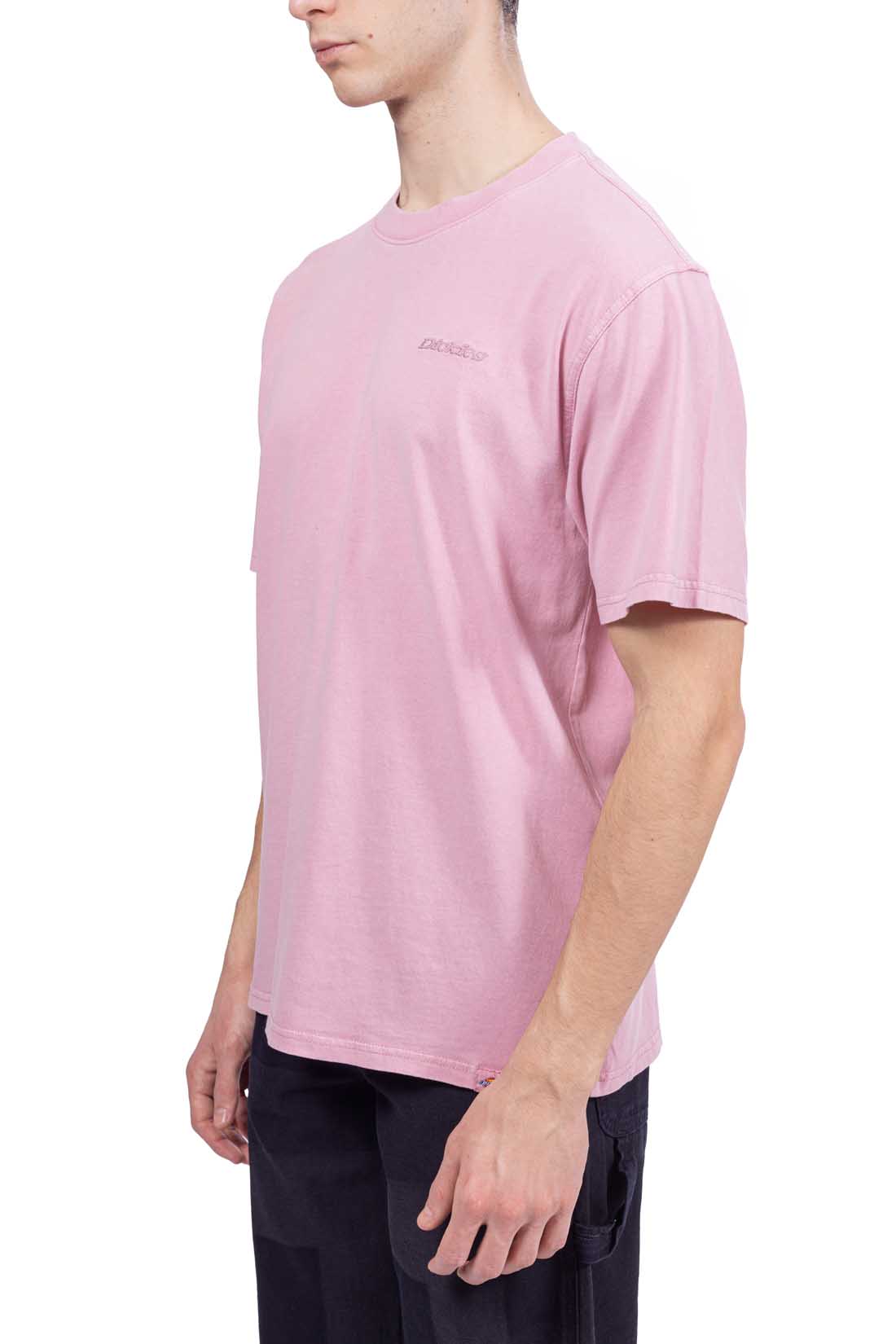 DICKIES - Men's Plentywood T-shirt-1
