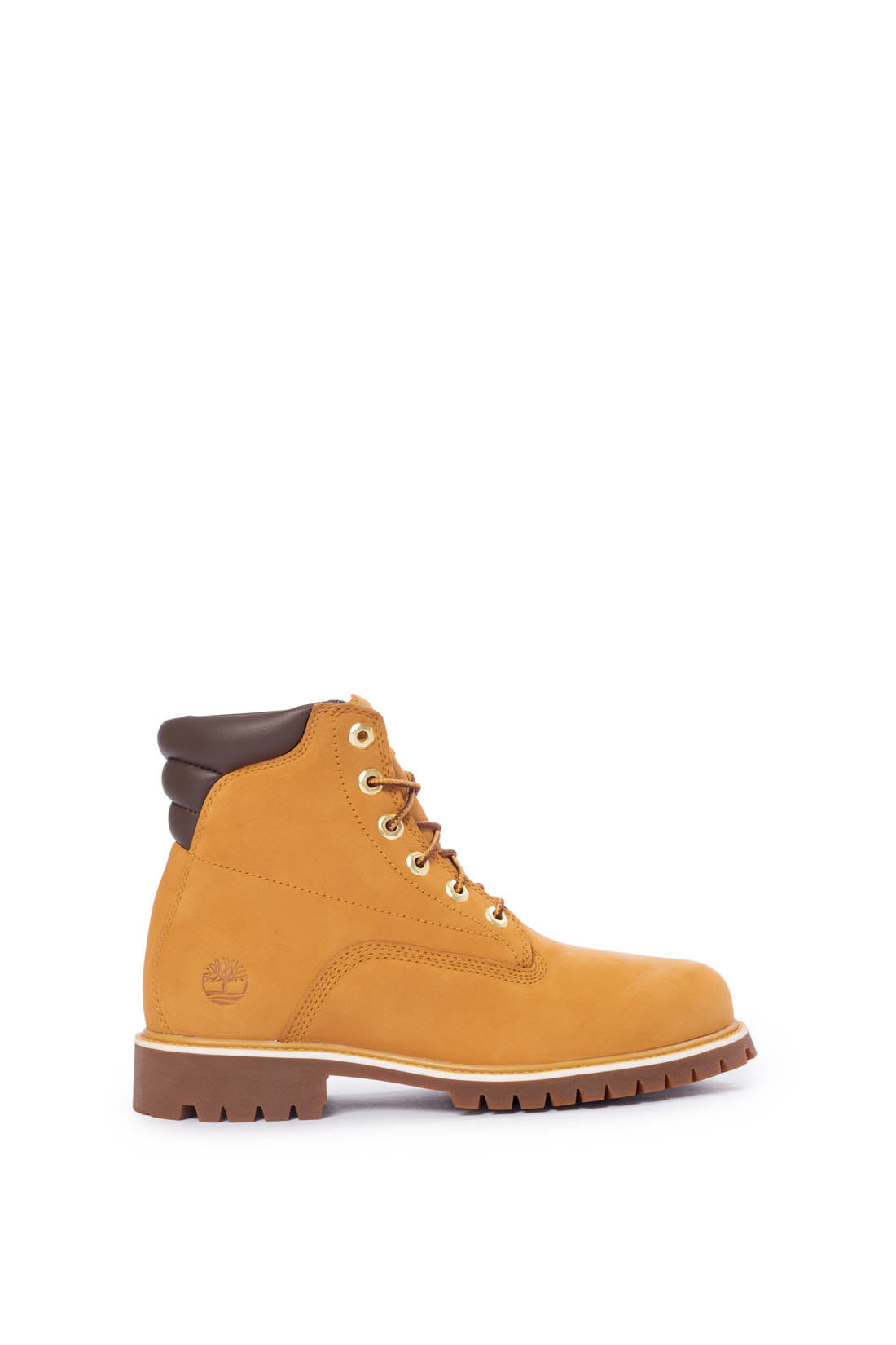TIMBERLAND - Stivaletti uomo Alburn 6-inch in nabuk-22