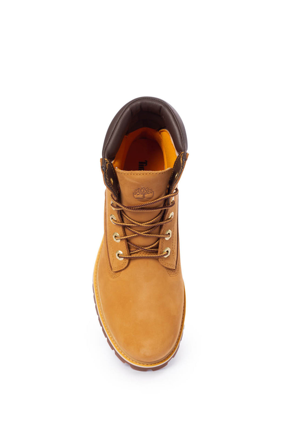 TIMBERLAND - Stivaletti uomo Alburn 6-inch in nabuk-15
