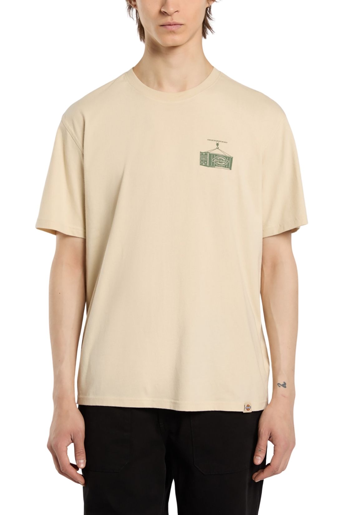 DICKIES - Men's Apison T-shirt-2