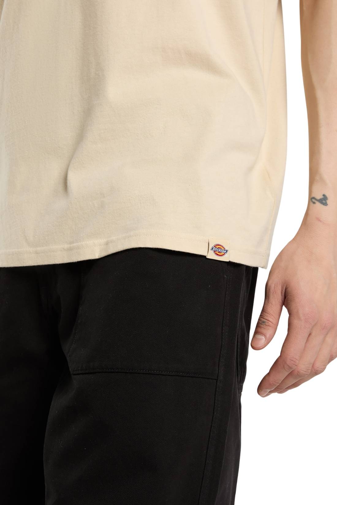 DICKIES - Men's Apison T-shirt-4